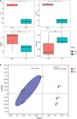 Bacteria Associated With Phaeocystis globosa and Their Influence on Colony Formation